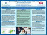 Prenatal Care, Pregnancy Risk, Birth Outcomes and the Role of Neighborhood Characteristics