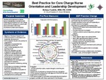 Best Practice for Core Charge Nurse Orientation and Leadership Development